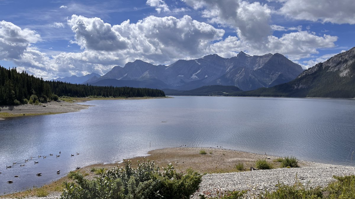 RyderDAR's tweet image. Today's lunch view while out volunteering.