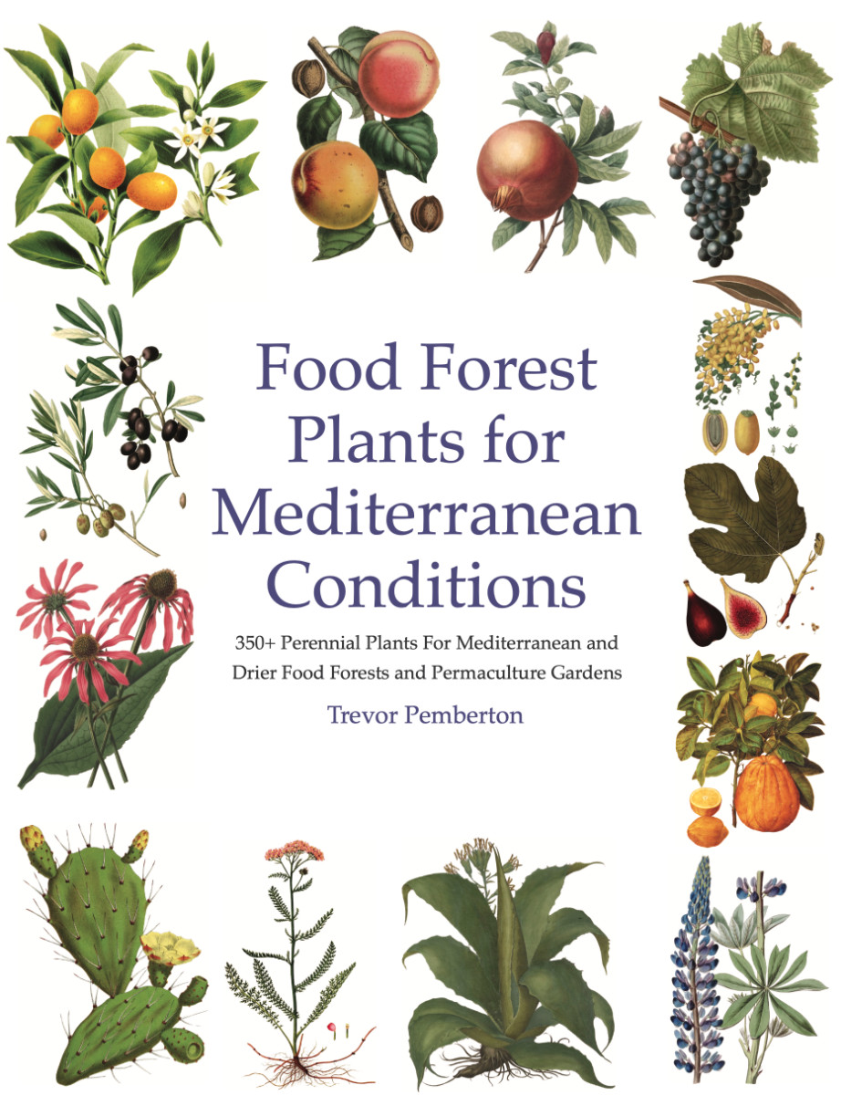 Our latest book, Food Forest Plants for Mediterranean Conditions, is now available from your favourite bookshop and on Amazon.

If you’re in the UK or the US, you can order directly from the printer and enjoy 20% off the cover price.
Order here: shop.ingramspark.com/b/084?params=w…