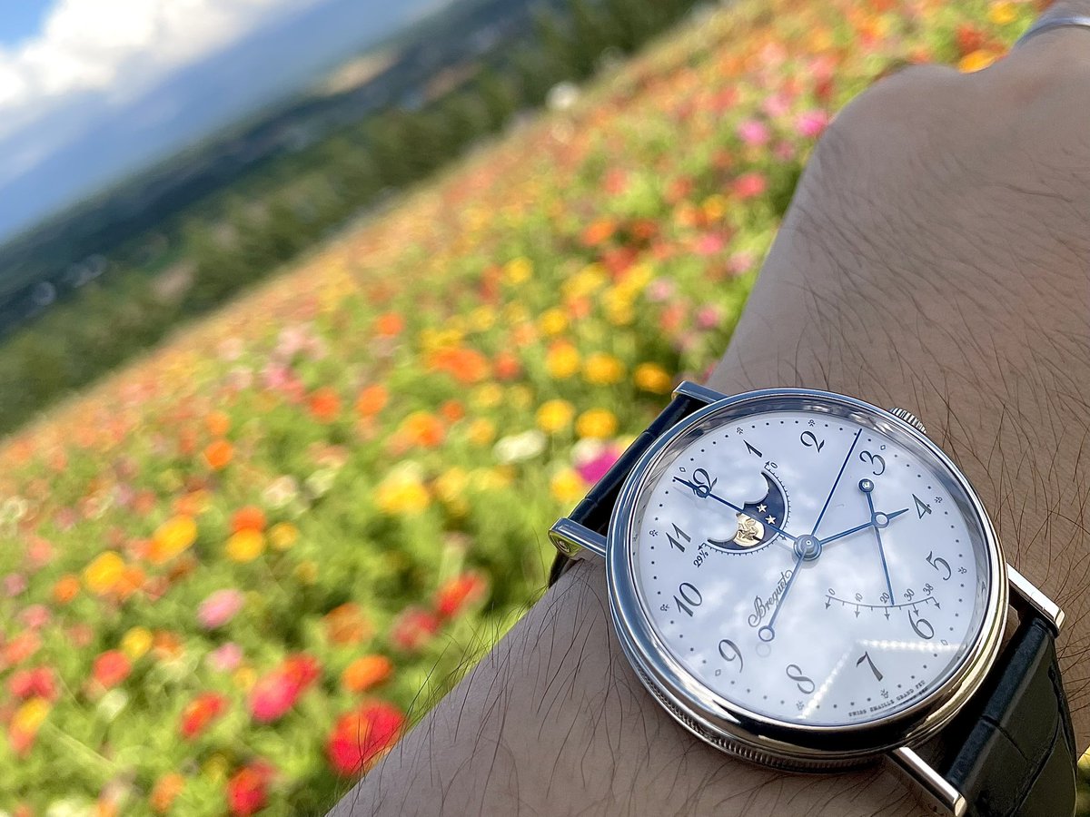 ponsukewatch's tweet photo. 北海道は酷暑から解放された雰囲気…
毎日革ベルトでも、もう大丈夫です🙆
大丈夫だよね？💦💦 https://t.co/4ODslhHXWO