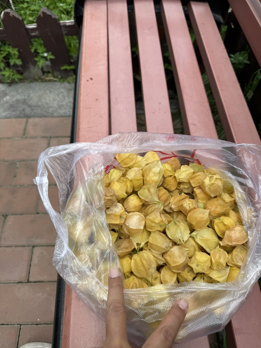 啊，是秋天的味道