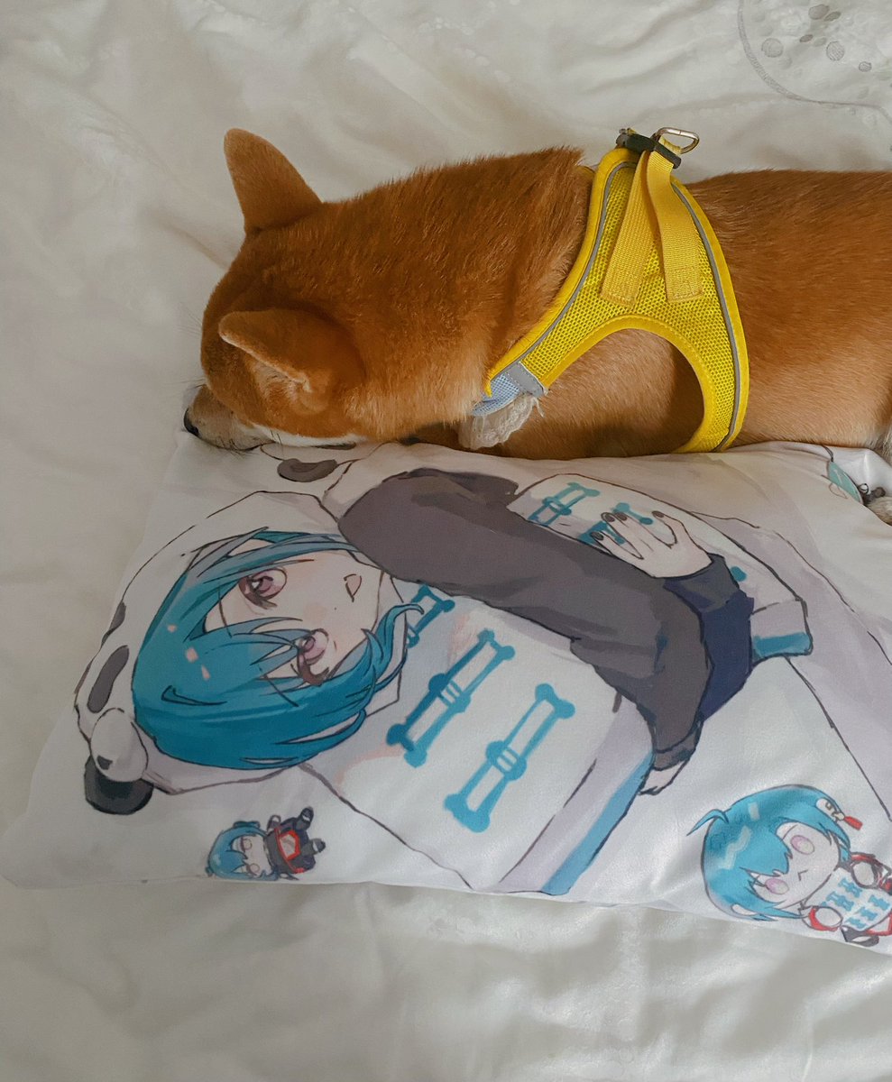 芹菜饺子 (@happyceleryisme) on Twitter photo 