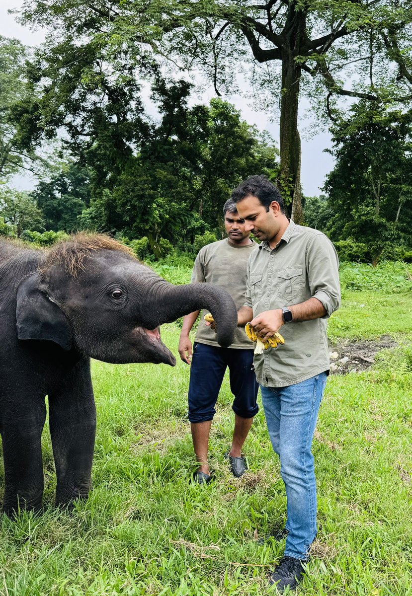 Remember if habitat goes, they too will go. Today is #WorldElephantDay.