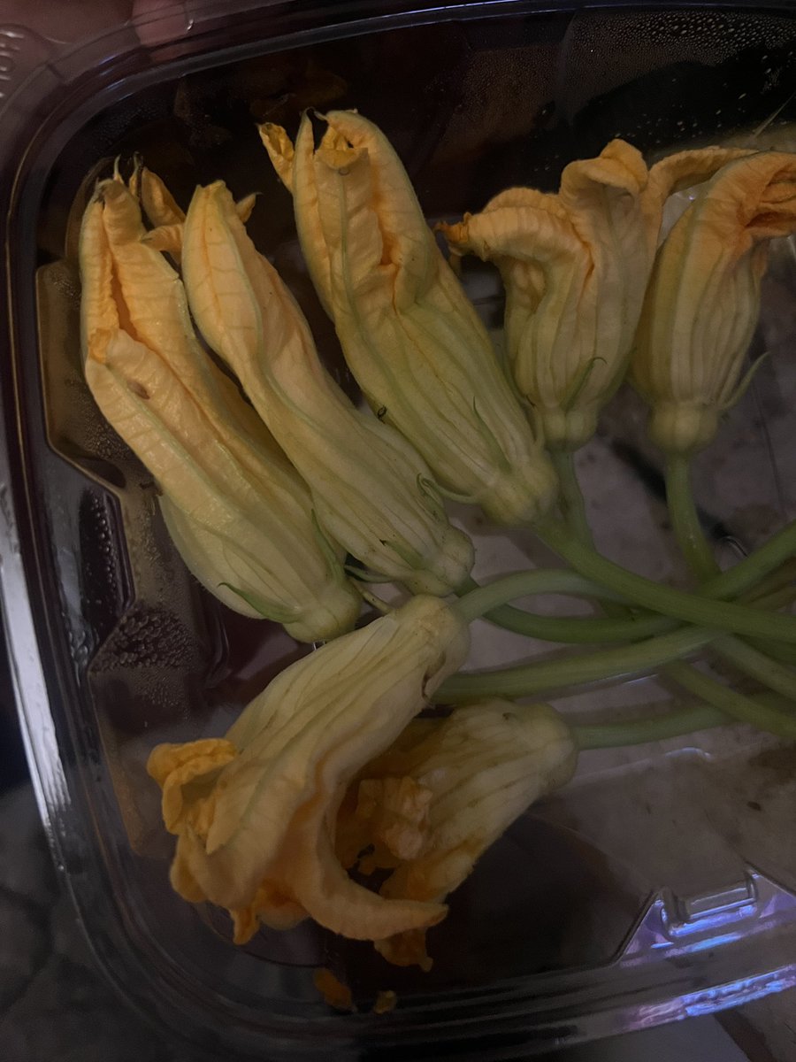 StrangeLounge's tweet photo. So happy i found these flowers at the grocery store. Pooh has been getting pickier but soon as i showed her these she tore them up. Happy baby makes a happy daddy π₯°πΏοΈπ°β€οΈ
#MyTinyFamily #squirreldad #bunnydad https://t.co/ytqOPMgTPX