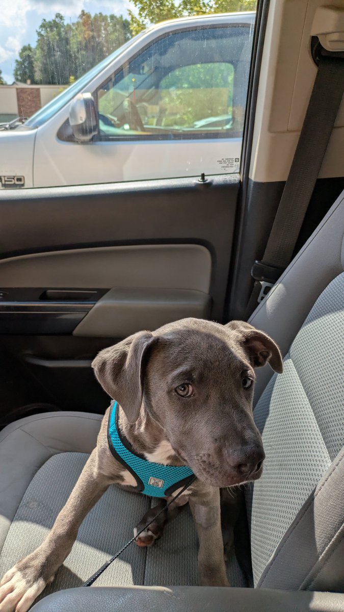 Road trip!

#AlwaysShotgun