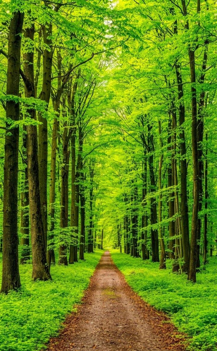 ســامـي (@samialrmethan3) on Twitter photo 