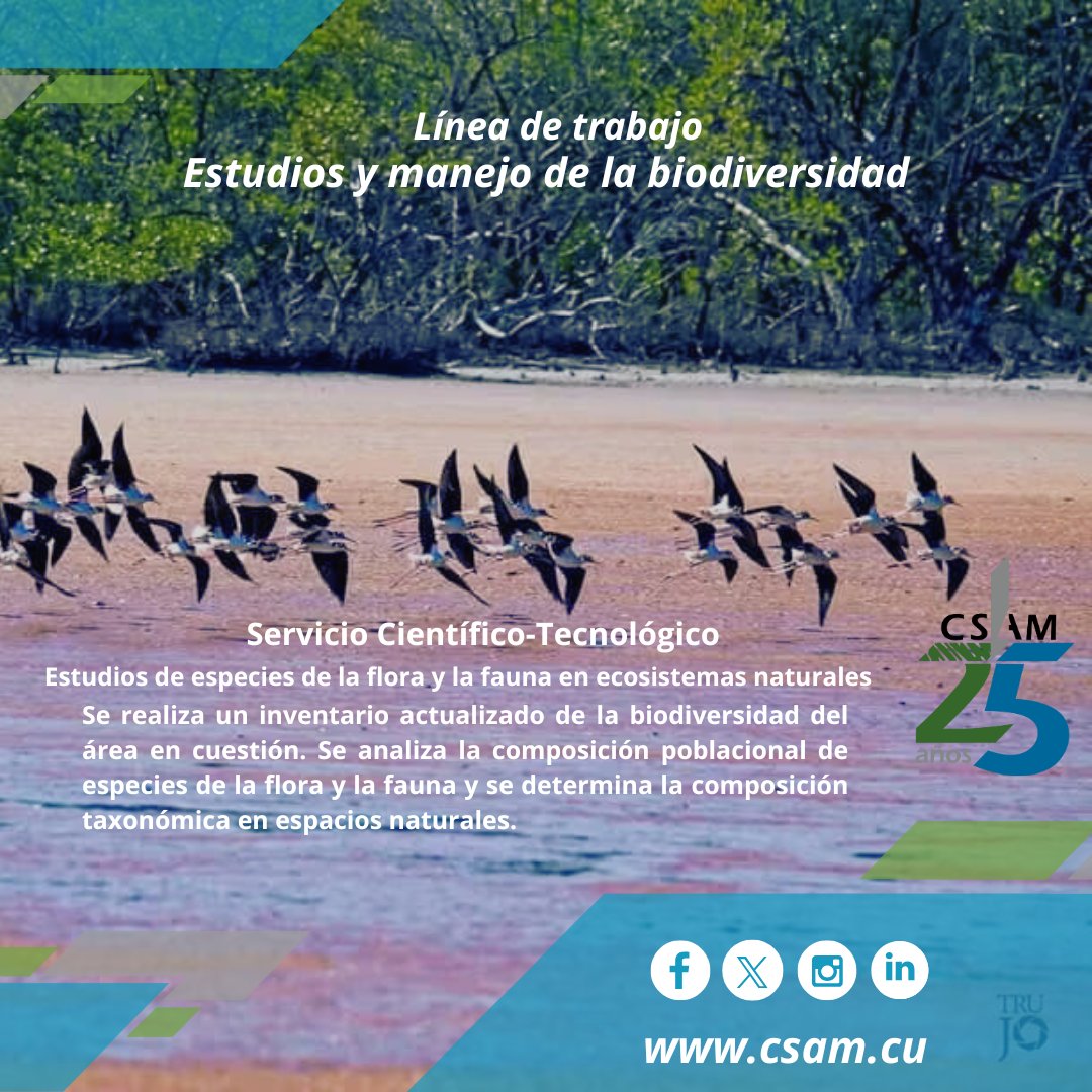 ✅Los servicios científico-tecnológicos constituyen la base fundamental de nuestro trabajo, les acercamos hoy al ESTUDIO DE ESPECIES DE FLORA Y FAUNA EN ECOSISTEMAS NATURALES, en él👇🏻
. 
.
#líneasdetrabajo #ServiciosCientíficoTecnológicos #Cumplimos25 #CSAM #AMACuba #CitmaCuba