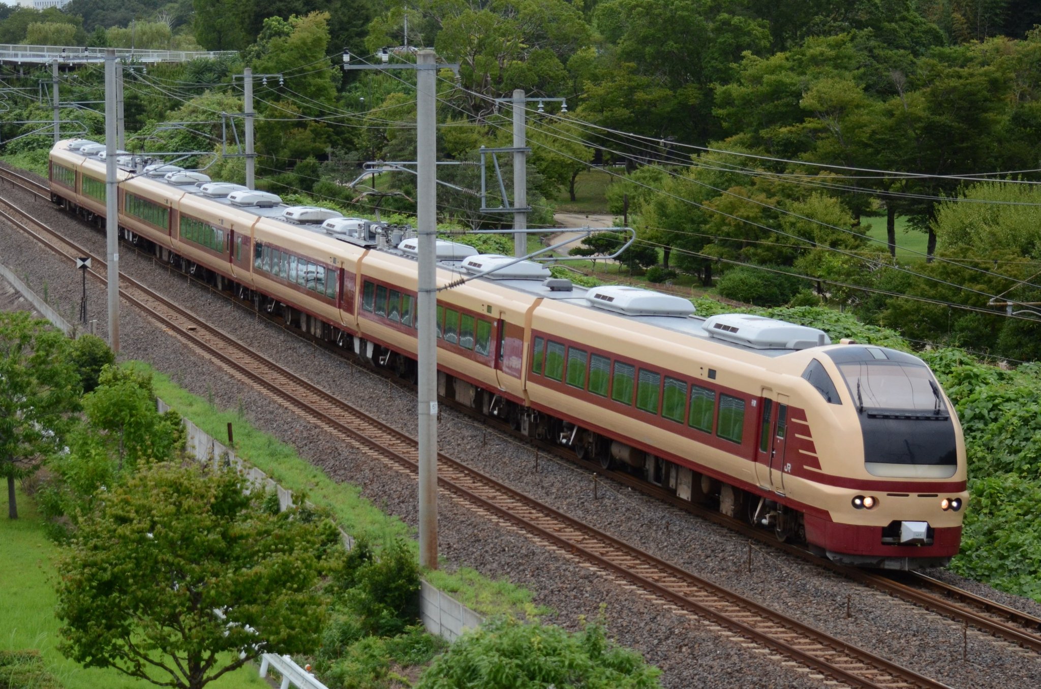 未使用　オレカ　『東海道を走る　特急・急行』シリーズ プラレール電車鉄道博物館2020千葉房総特急大集合～plarai tiba