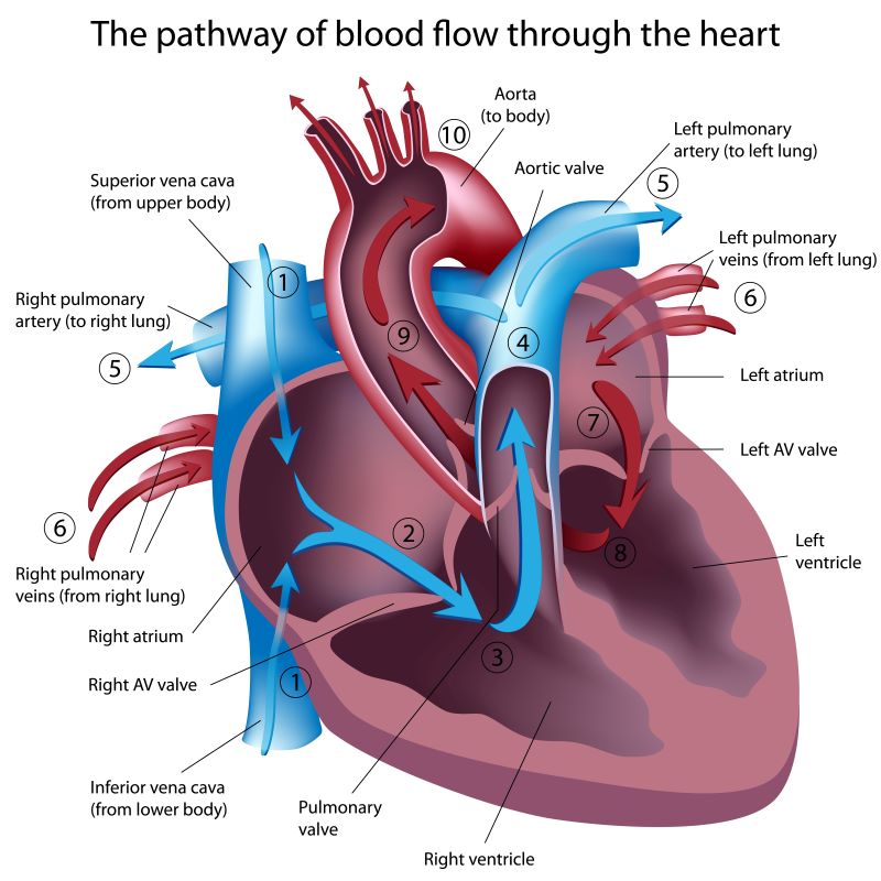 MedicTests.com tweet media
