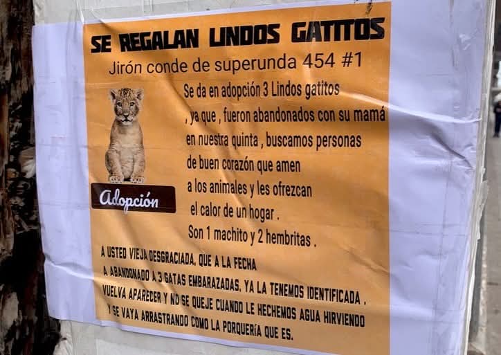 "A usted, vieja desgraciada,... cuando le echemos agua hirviendo..." 🤣
