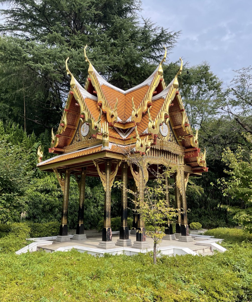 ごめん、上野には行けません。いま、ここにいます。