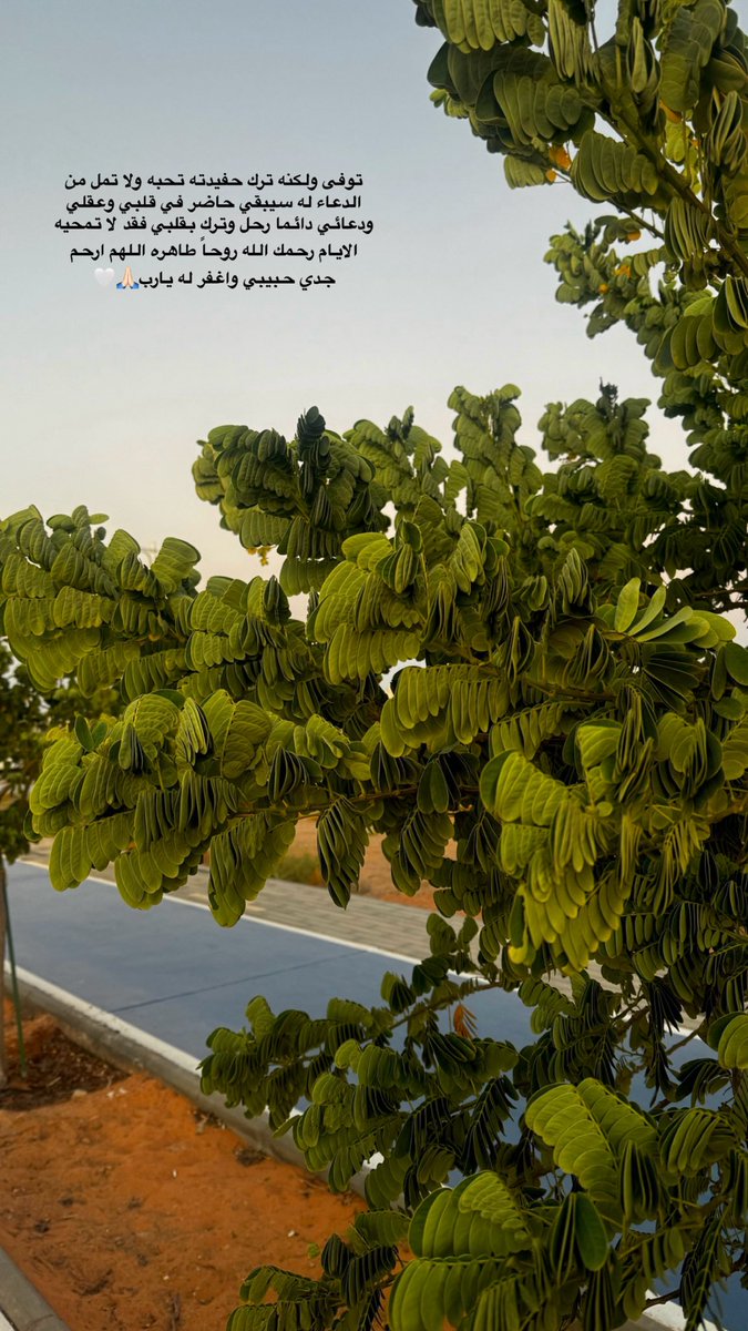 Dalal💕 tweet media