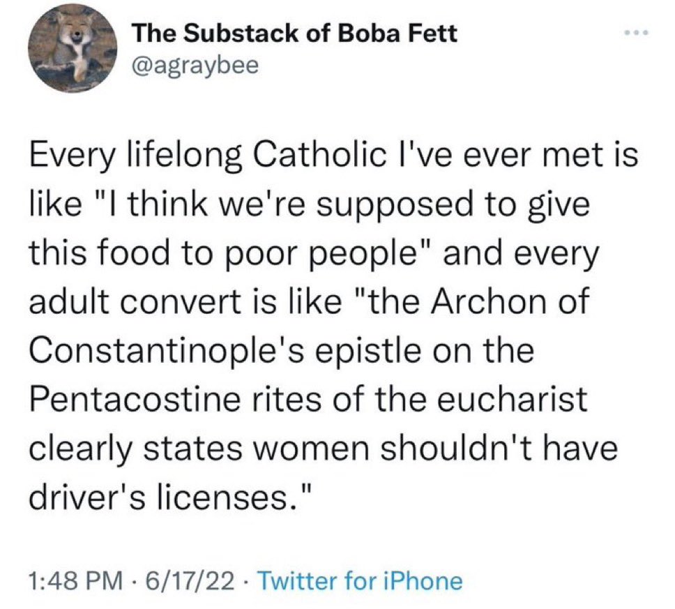 Schemin Jo tweet media