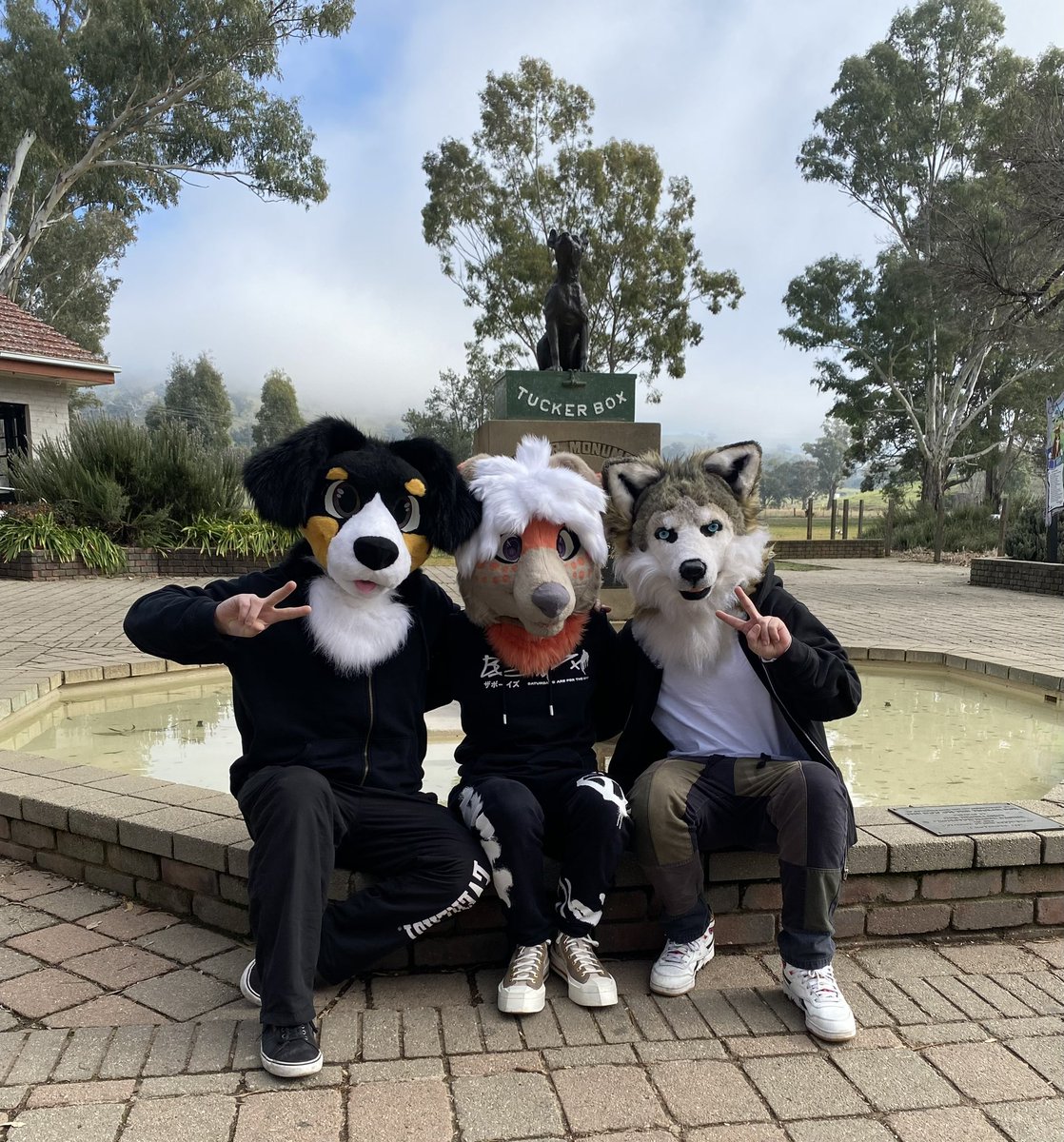 A couple more photos from the dog on the Tucker box!! This time with Ollie and Mist!!

Brooklyn: <a href="/BrooklynCollie/">🪴🍄Brooklyn🍄🪴</a> 
Ollie: <a href="/OllieAussieShep/">OllieTheAussie 🇦🇺</a> 
Mist: <a href="/MistyoWolf/">Mistyo 🔚 Aurawra</a> 
📸: a very nice lady that offered to take our photo