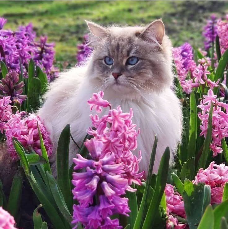 Mona♓♐ (@tylly101) on Twitter photo 