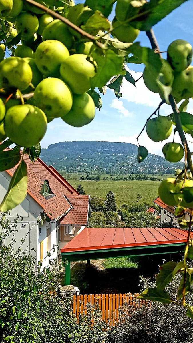 Mona♓♐ (@tylly101) on Twitter photo 