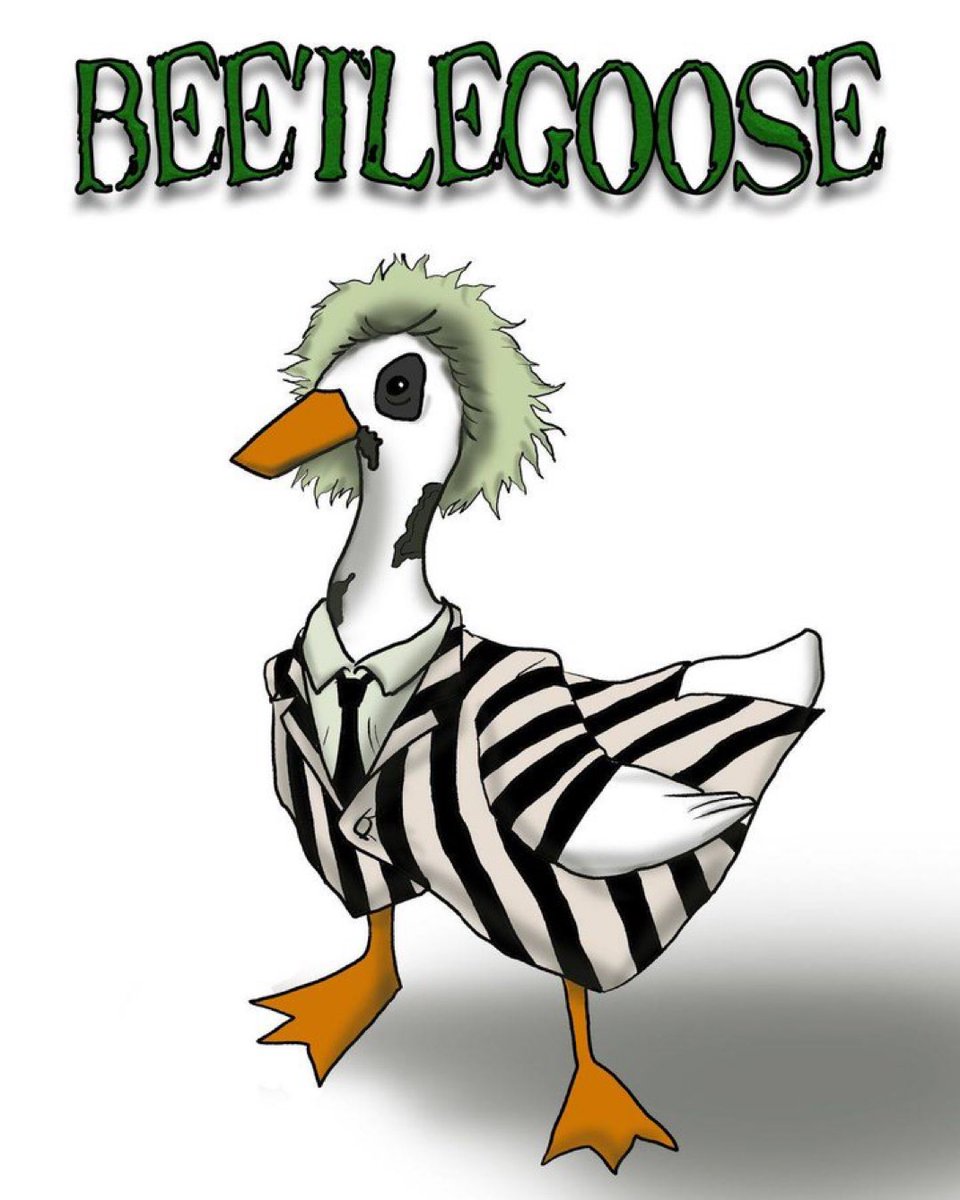 HonkCTO's tweet image. Go to sleep, but don&apos;t say his name three times.....

GN to all😴😴

#cryptocurrency #memecoin #goodnight #Goodnighteveryone #Solana #CryptoNews #BTC #calorie