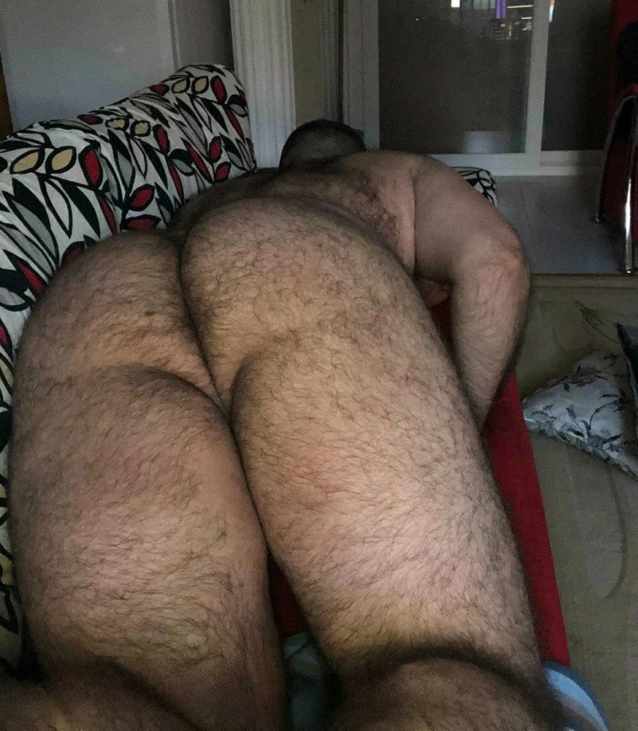 Bbear71D's tweet photo. Realturkishbear? https://t.co/fE0WYvSjMo