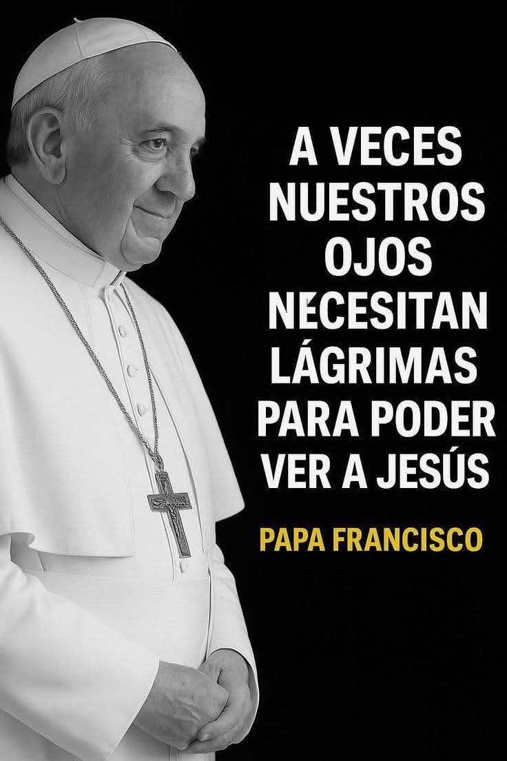 Connie_Gdl's tweet photo. #PapaFrancisco 💛🙏 https://t.co/XhD6ufYgpg