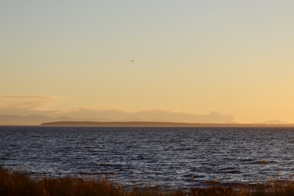 Matthew Pfab (@the_weatherman2) on Twitter photo View of the rapidly growing #wildfire south of Port Alberni, BC…seen from Semiahmoo Spit in Blaine, WA, around 8:00 PM Monday. Seems to be some pyrocumulus fire behavior. #bcstorm #ShareYourWeather <a href="/RyanVoutilainen/">Ryan Voutilainen 🇨🇦🇫🇮</a> <a href="/weathernetwork/">The Weather Network</a> View of the rapidly growing #wildfire south of Port Alberni, BC…seen from Semiahmoo Spit in Blaine, WA, around 8:00 PM Monday. Seems to be some pyrocumulus fire behavior. #bcstorm #ShareYourWeather <a href="/RyanVoutilainen/">Ryan Voutilainen 🇨🇦🇫🇮</a> <a href="/weathernetwork/">The Weather Network</a>