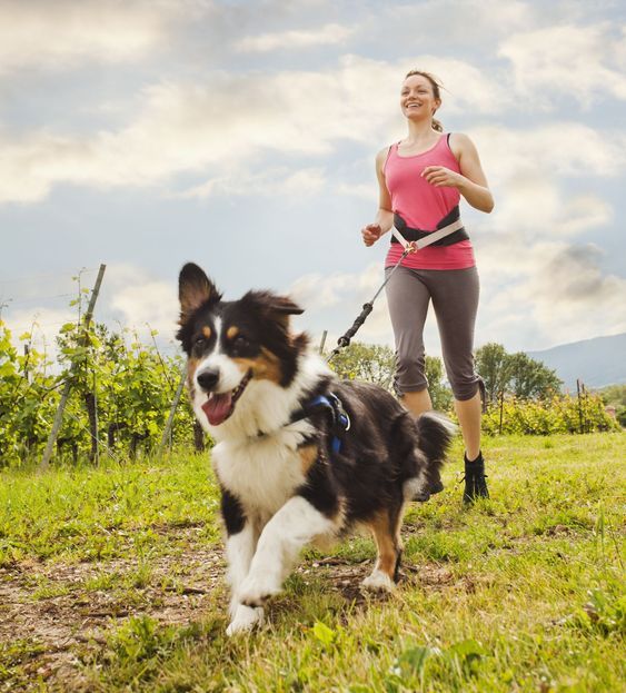 IvyWalker25's tweet image. Vineyard runs with my best boy 🍇🐕 He’s faster than me, but waits at every turn. #DogRunning #PetLife #OutdoorWithPets #AustralianShepherd #WeekendRoutine #FurryCompanion #DogLover
