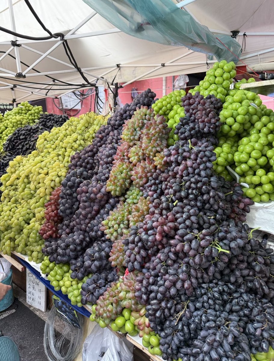 xiaojvzi1995's tweet photo. 葡萄瀑布的葡萄🍇真甜！#葡萄 #新疆是个好地方 https://t.co/zs1WmseA4k