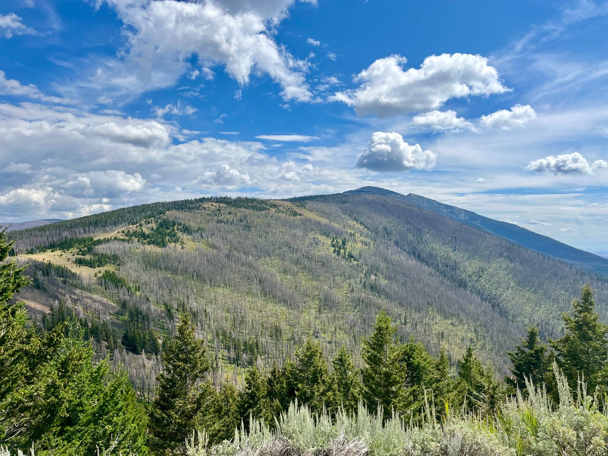 Mount Baldy (W7M/HB-027) activation today (8-pts) put me over 900 SOTA points. SOTA Goat is in reach, finally, after 12 years.