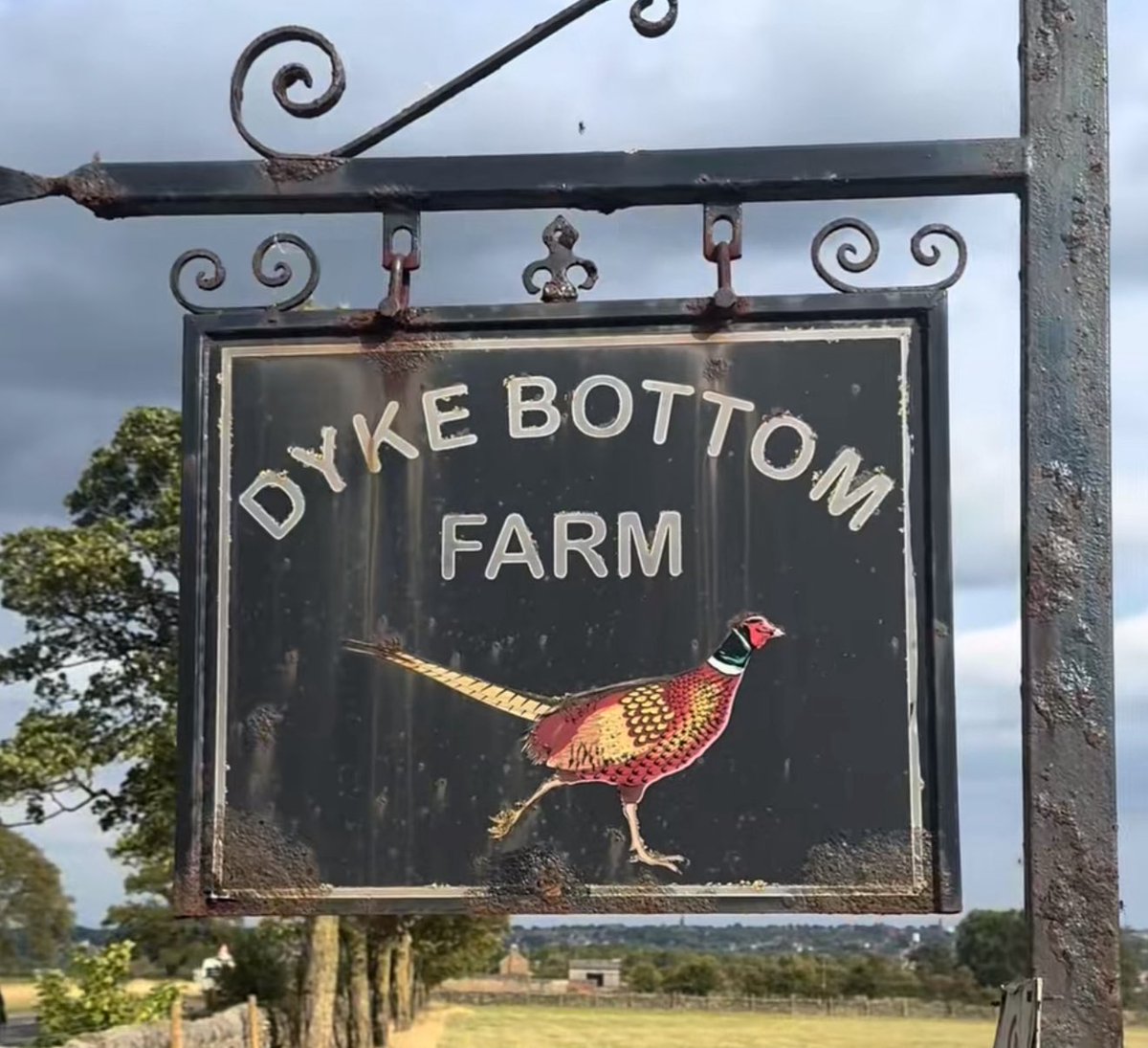 a lot of you live here