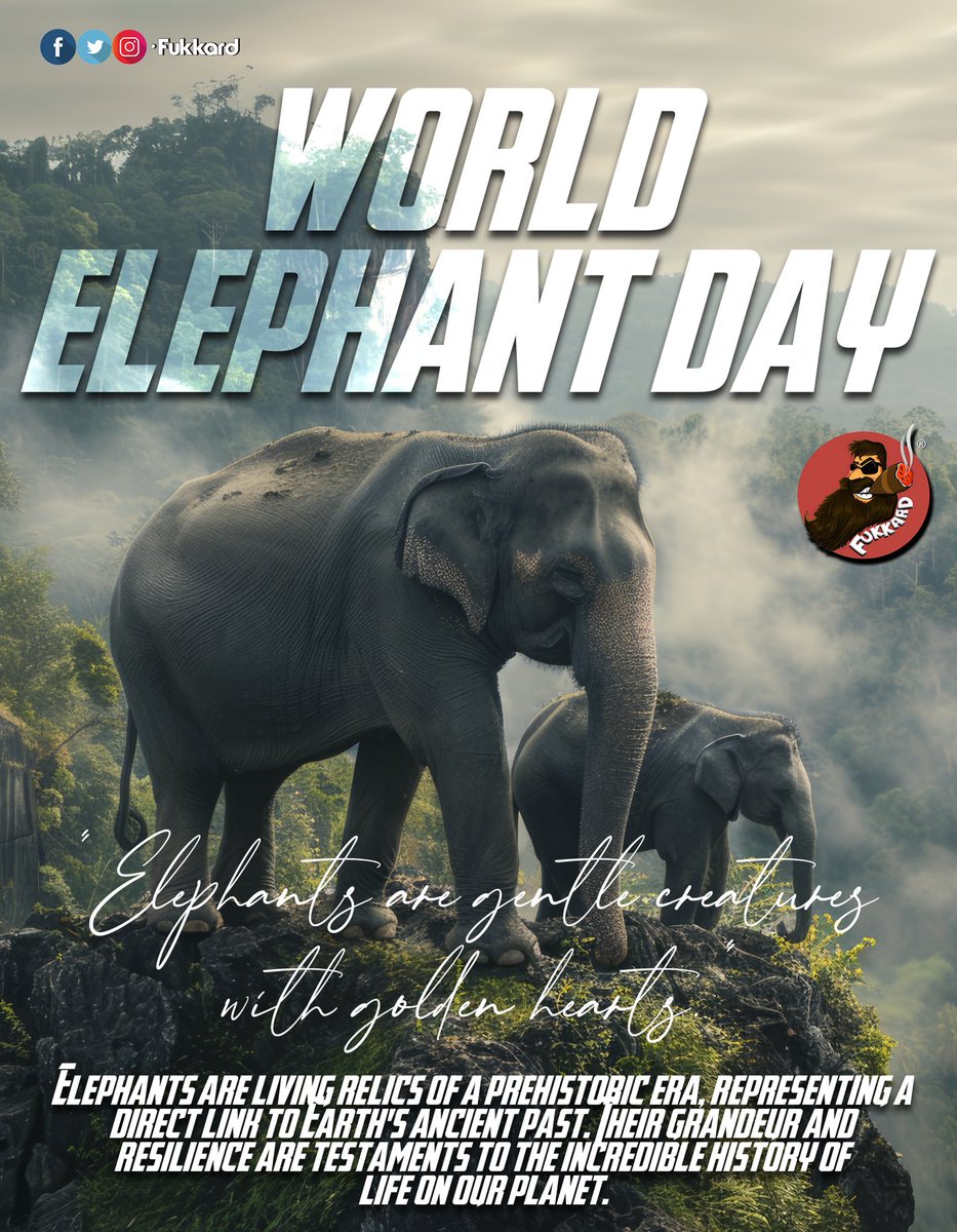 Fukkard's tweet image. #ElephantDay #WorldElephantDay