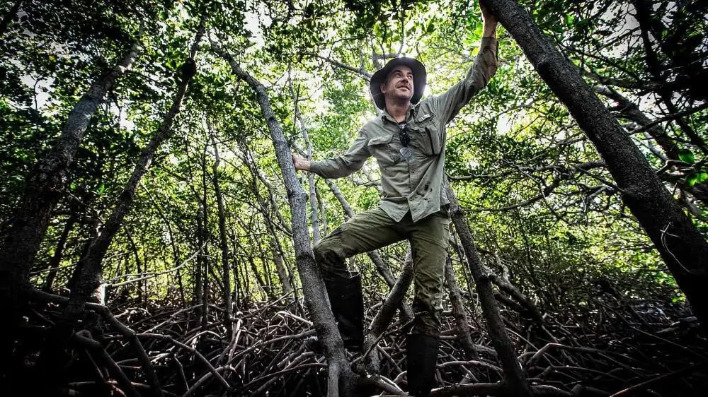 Environmental Futures @ UOW (@uowenviro) on Twitter photo Congratulations to Prof Kerrylee Rogers and Dr Jeff Kelleway who have been announced as finalists in the <a href="/austmus/">Australian Museum</a> Eureka Prizes!
They have brought a fresh perspective to the question: how will coastlines around the world and the ecosystems we depend on weather the rising tides? Congratulations to Prof Kerrylee Rogers and Dr Jeff Kelleway who have been announced as finalists in the <a href="/austmus/">Australian Museum</a> Eureka Prizes!
They have brought a fresh perspective to the question: how will coastlines around the world and the ecosystems we depend on weather the rising tides?