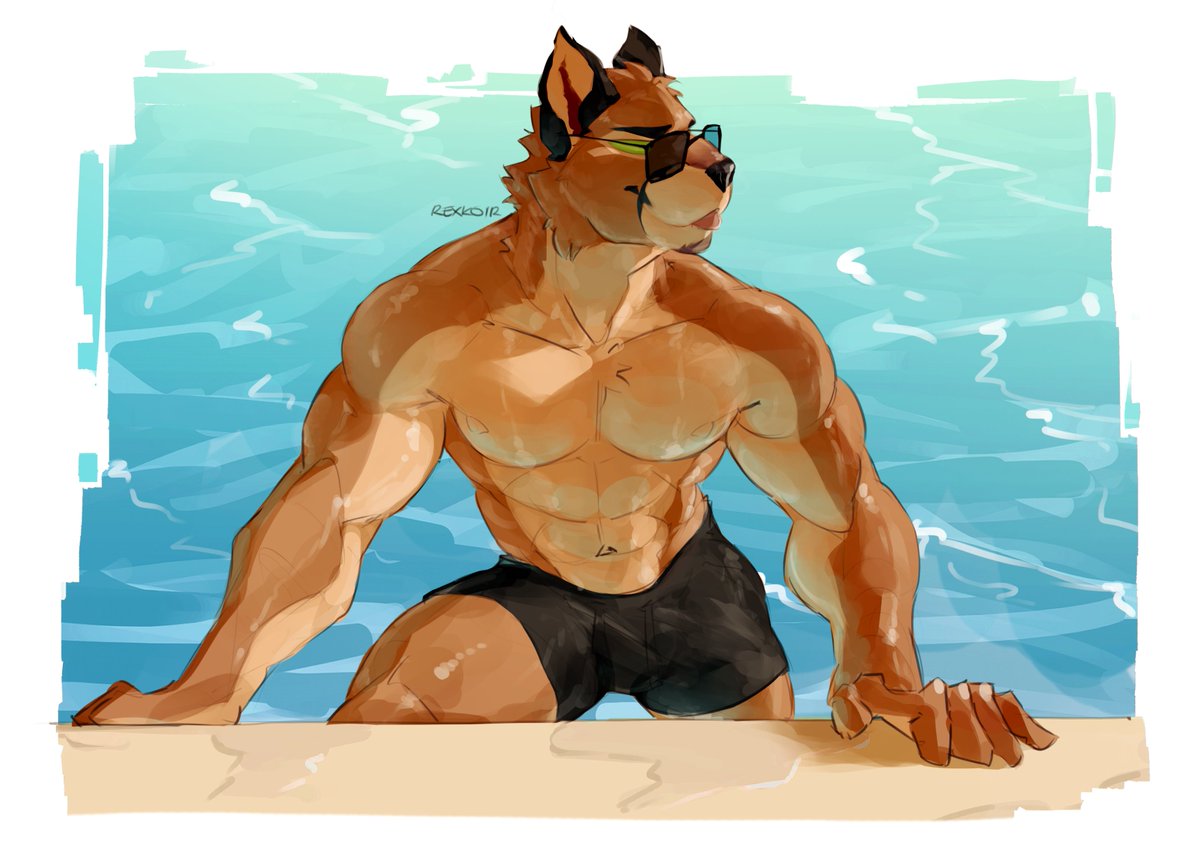 RexKoir's tweet image. 🐱