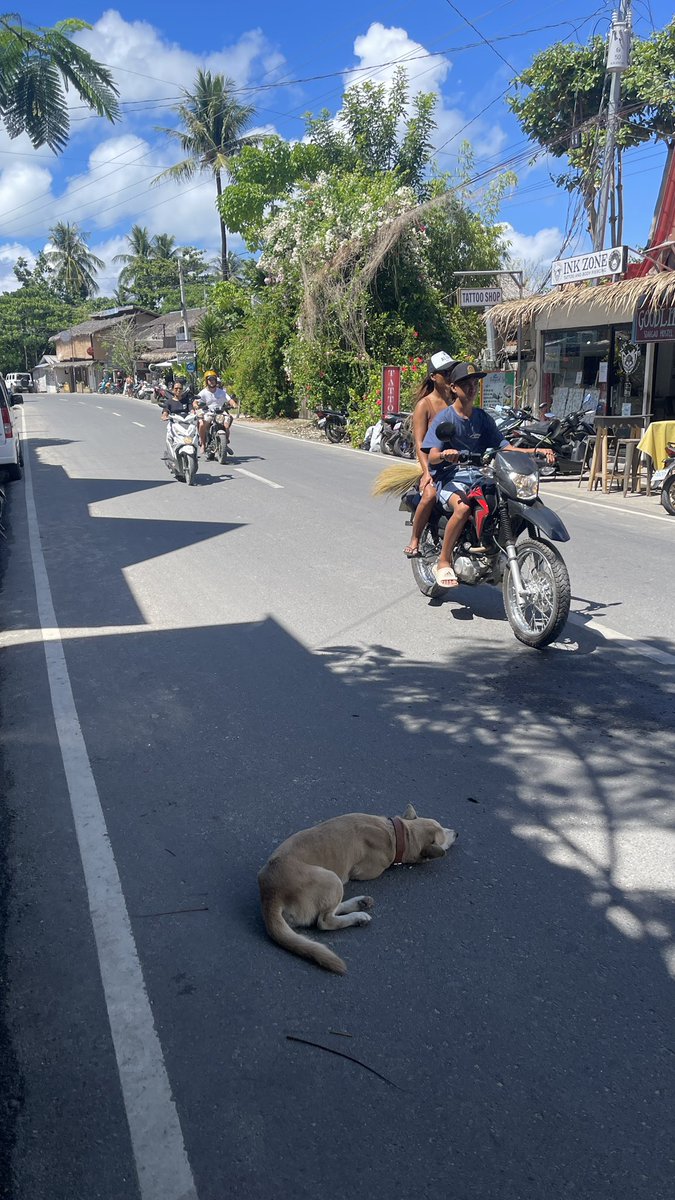 骑摩托车去加油，加油的小哥问我从哪里来，我说中国，他惊讶的对我说你长得很像我们菲律宾本地人，并对我竖起大拇指👍 我就说我怎么没被割腰子呢！