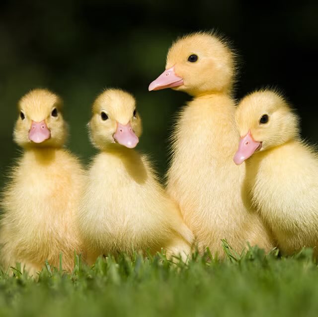 s0ftwaresupp0rt's tweet image. 