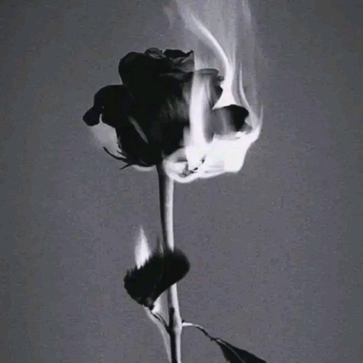 UmHurera804's tweet photo. مجھــے بُــرے لوگــ اِتنــے بُــرے نہــیں لگتــے
جتنے اچھائــی کے روپـــ مـیں چُھپــے
بُرے لوگــ بُرے لگتــے ہیں...
صرف دِکھاوے کا اچــھا ہونــا
بُرا ہونے سے بھی بُرا ہے۔۔
کبھــی کبھــی میـٹھی گفتــگو کر کے
لوگــ آپـــ کو عزتــ نہیں
دھــوکہ دے رہــے ہوتـــے ہیــں https://t.co/js48bBdyXL