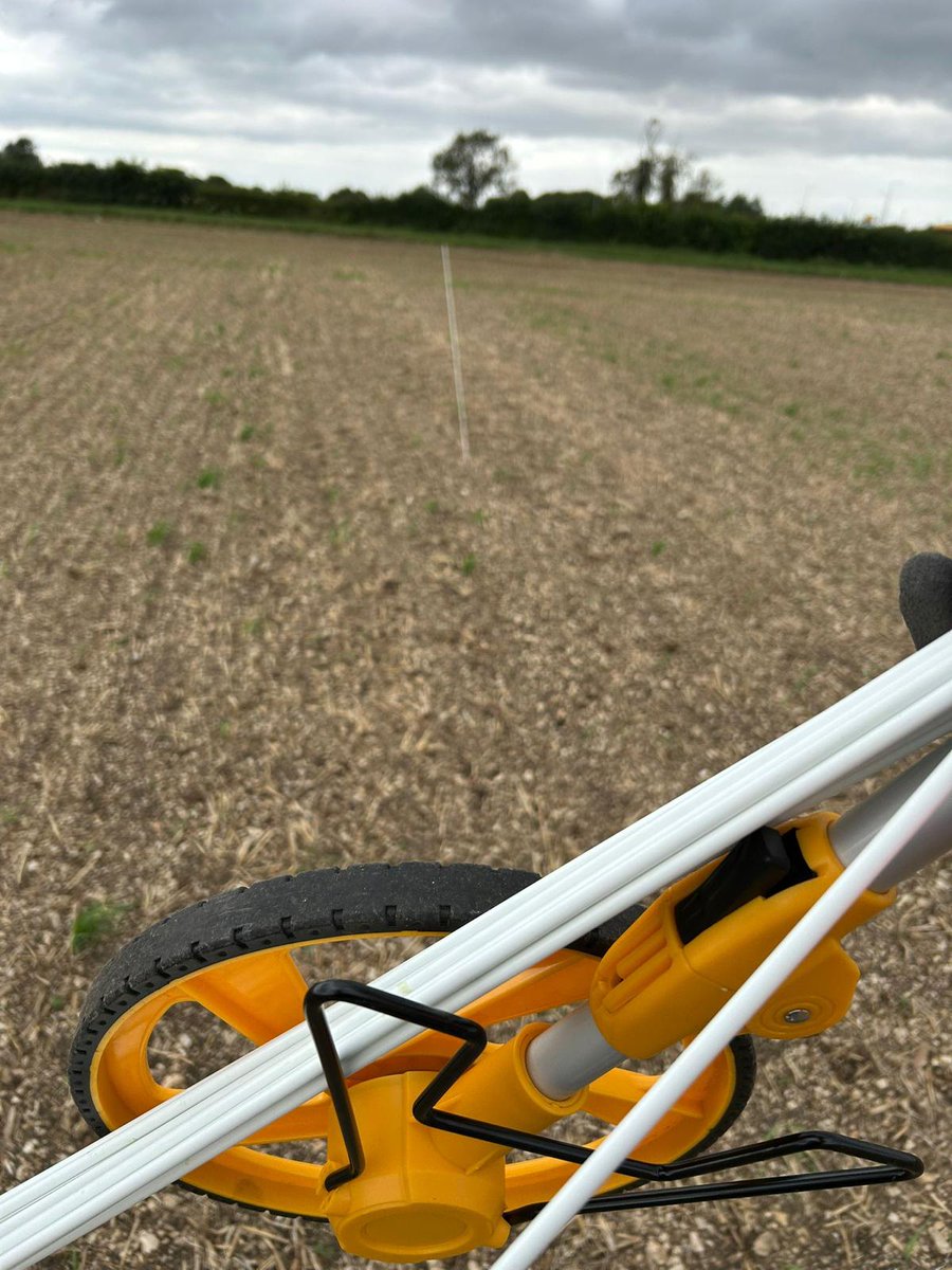 NichinoUK's tweet image. We’ve just set up an exciting new trial in Yorkshire -  kindly hosted by H S Thirsk and supported by @HutchinsonsAgUK agronomist Sam Hugill. 🙏

The focus? Testing the impact of adding a #biostimulant to insecticide applications to help reduce #CSFB damage - a crucial step with