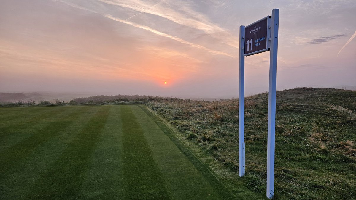 Wayne Murray tweet media