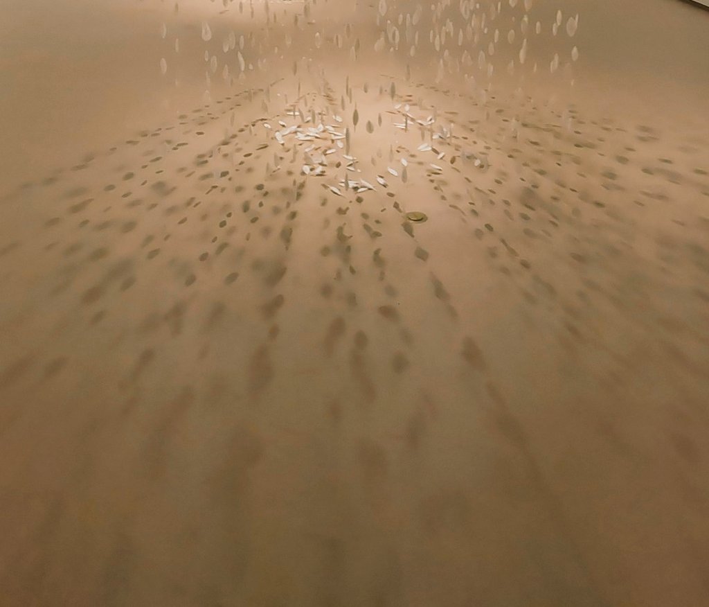 aworksnet's tweet image. 岐阜城楽市でのモーニングの後、岐阜公園内の加藤栄三・東一記念美術館にて芸術鑑賞をしました。作家さんともお話ができて楽しかったです。

#加藤栄三・東一記念美術館 #岐阜公園 #岐阜城 #岐阜城楽市 #岐阜市 #岐阜