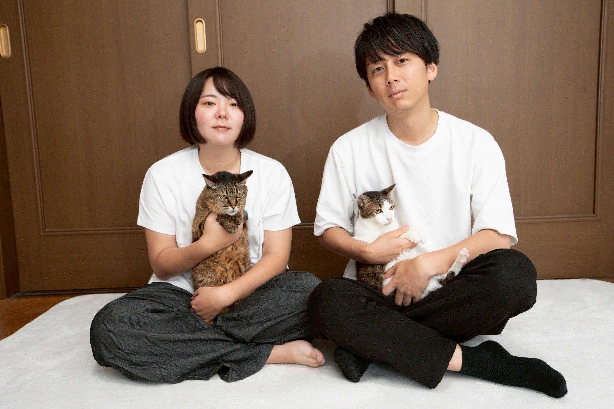 けあねこ(=^・^=) 楽天市場】猫 ねこ 片目 立つ 隠す オーナメント ガーデン