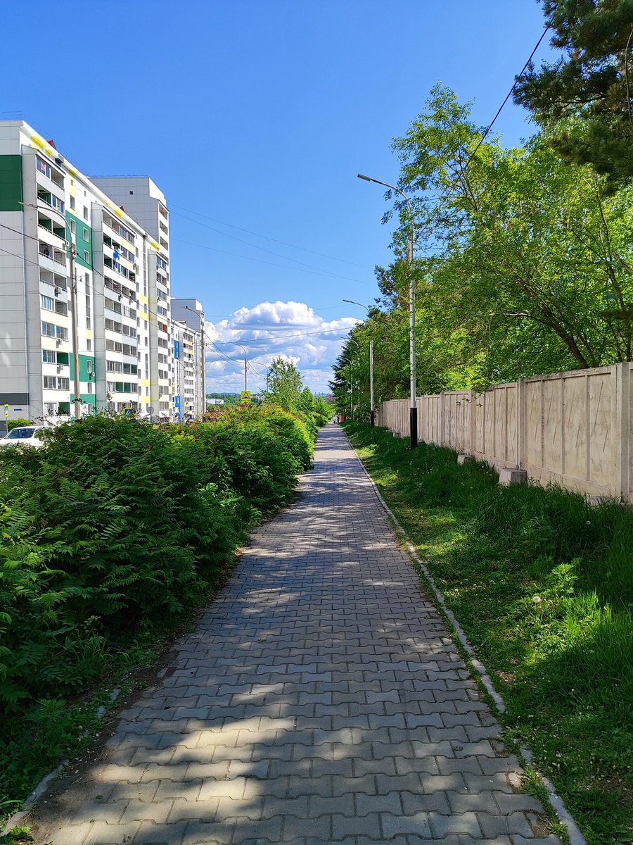 Shadow_S2890 tweet media