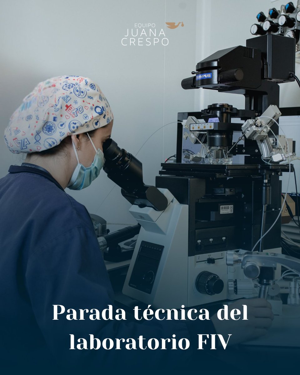 Parada técnica en nuestro laboratorio #FIV del 11 al 24 de agosto. Paramos actividad para mantenimiento y limpieza profunda, mientras los tanques con óvulos y embriones permanecen vigilados 24/7. Esto garantiza la máxima #calidad y #seguridad en cada proceso.