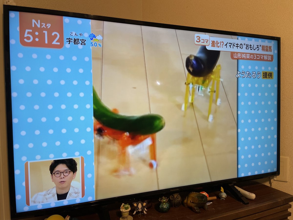今年もTBSテレビのニュース番組「Nスタ <a href="/nst_tbs6/">Ｎスタ 公式アカウント</a> 」さんで、精霊馬を取り上げていただきました！
ありがとうございました！
#Nスタ #精霊馬 #精霊馬2025