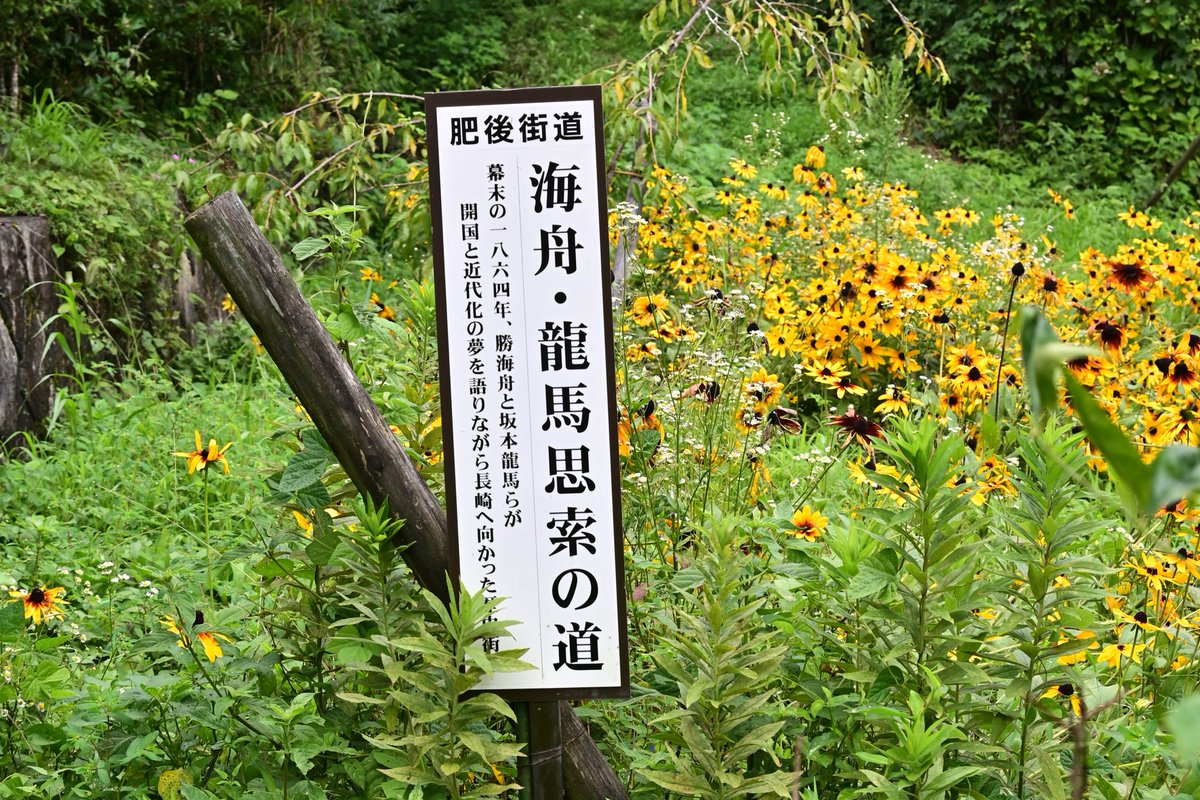 t_sakobe's tweet photo. 今日の今市石畳と丸山神社です。
大分市内は雨の影響あまりなかったみたいです。

#参勤交代 #肥後街道
#カメラ好きな人と繋がりたい 
#写真を撮るのが好きな人と繋がりたい 
#ファインダー越しの私の世界ᅠ https://t.co/WoOHdpfwFG