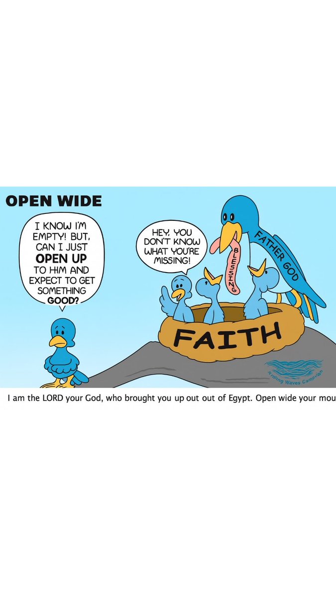 healingwavescam's tweet photo. OPEN WIDE
🐦 “Hey, you don’t know what you’re missing!”
God is ready to pour blessings into your life — but you have to open up in faith. Don’t stay on the branch of doubt when the nest of blessings is right there.
📖 “Open wide your mouth, and I will fill it.” — Psalm 81:10 https://t.co/IlQvM4125Z