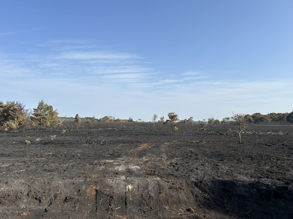 Richard McLaughlin (@rmcljourno) on Twitter photo I’m at Holt Heath where a fire has torn through 69 hectares of land since Saturday <a href="/Bournemouthecho/">Bournemouth Echo</a> I’m at Holt Heath where a fire has torn through 69 hectares of land since Saturday <a href="/Bournemouthecho/">Bournemouth Echo</a>