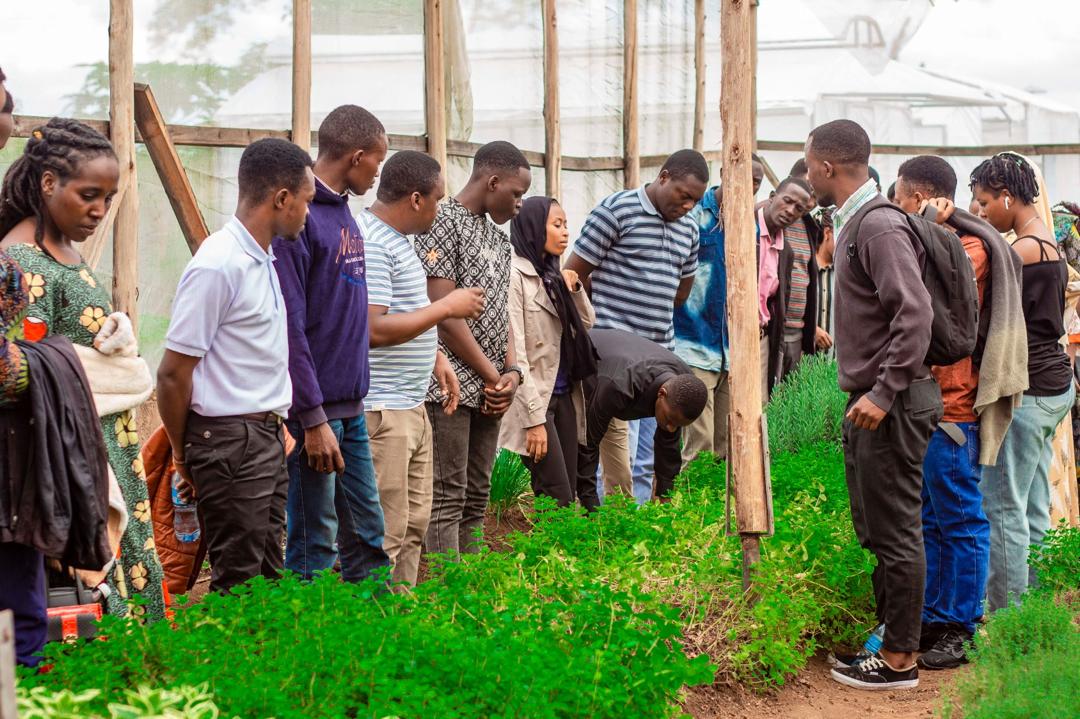 Today on #IYD2025, we celebrate youth driving change in our food systems through local action and innovation.

 From community gardens to sustainable supply chains, they are bringing the SDGs to life. Let’s support their vision and strengthen their impact.

#IYD2025 #Youth4SDGs