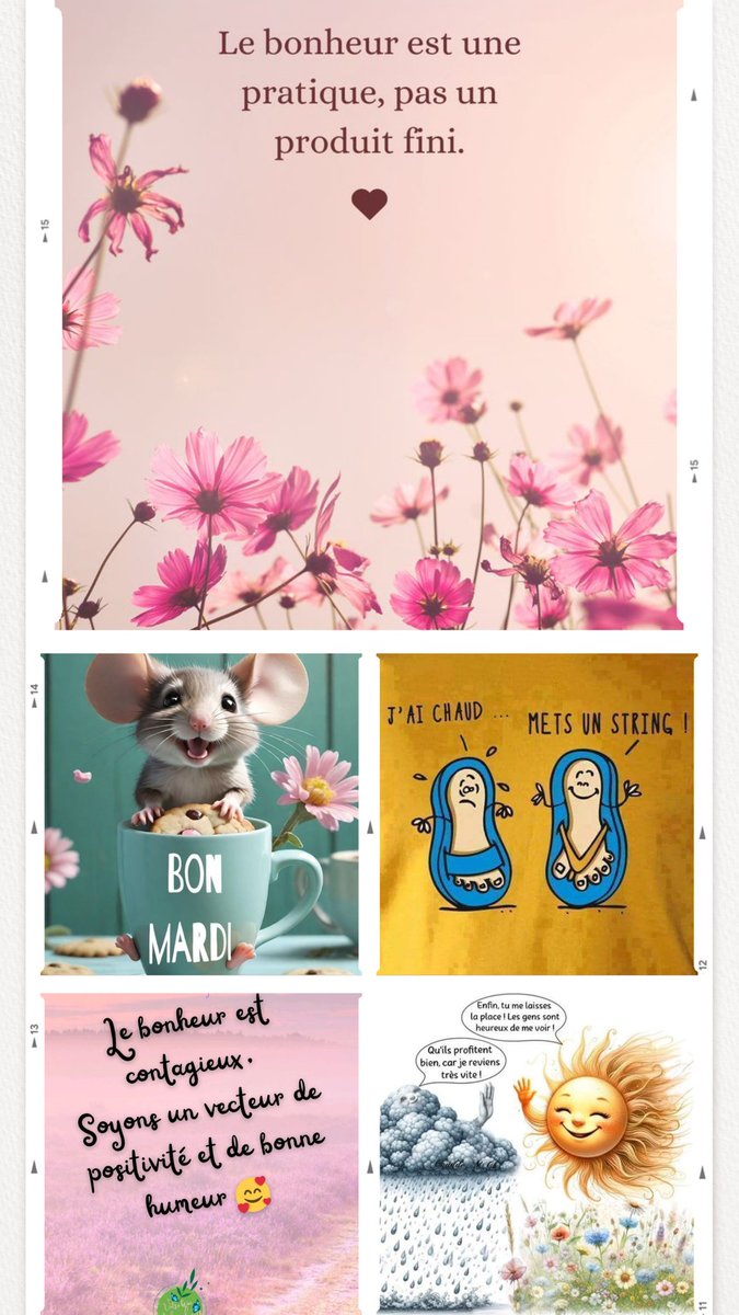 Coucou👋 Twittoux, 
🌸 Un sourire, une pensée douce, une petite dose d’humour… et la journée s’éclaire.🌞 Alors, diffusons la bonne humeur, car elle est contagieuse !😎👒💓
Bon mardi à tous 💛 bisous 😘