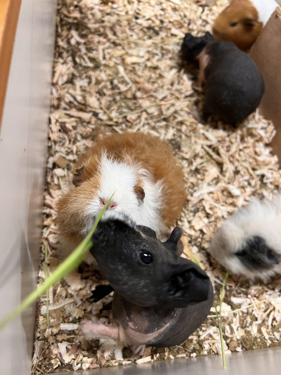 えさ課金おじさんのえさ課金すごかった
廃課金者ダァ