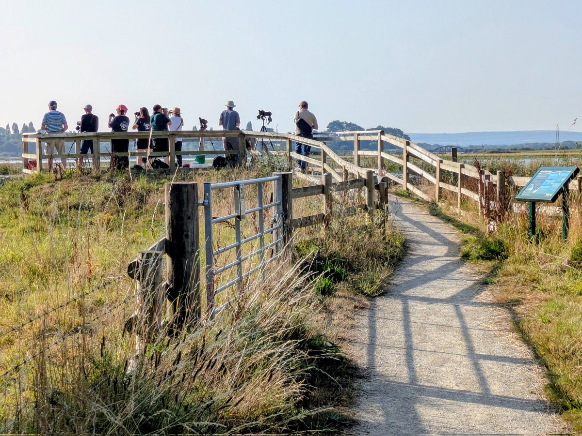 Lytchett Bay Nature (@lytchettp) on Twitter photo Lovely to see so many people enjoying Ospreys at #RockLeaView #RSPBLytchettFields Many thanks to Birds of Poole Harbour for running their pop up today. <a href="/BirdsofBARI/">Bird and Recreation Initiative</a> Lovely to see so many people enjoying Ospreys at #RockLeaView #RSPBLytchettFields Many thanks to Birds of Poole Harbour for running their pop up today. <a href="/BirdsofBARI/">Bird and Recreation Initiative</a>