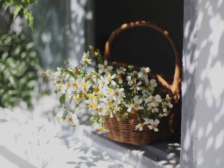 Filiz 🌸🍀 tweet media