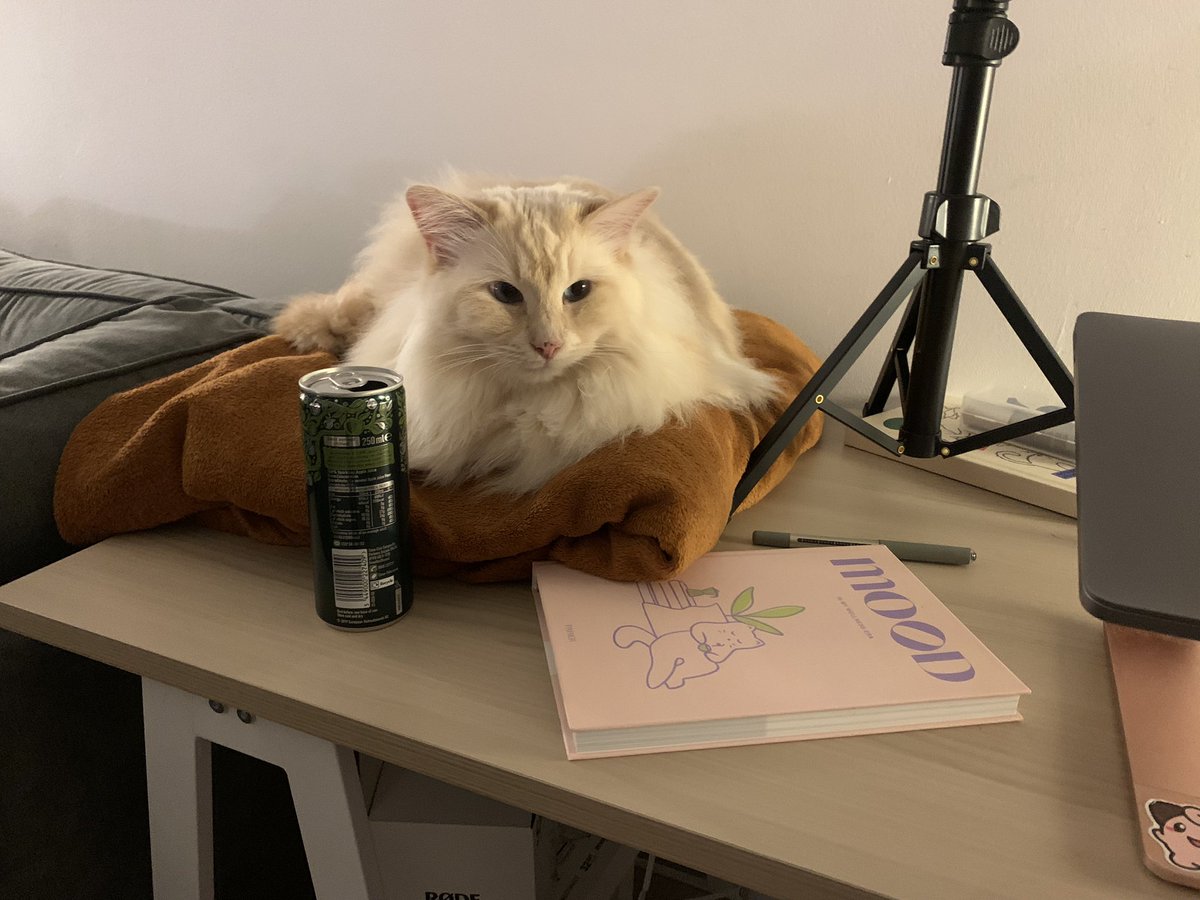 SignorDexter's tweet image. Italian Word of the day is DIARIO 🫶

I am writing my diary 

Sto scrivendo il mio diario 📓