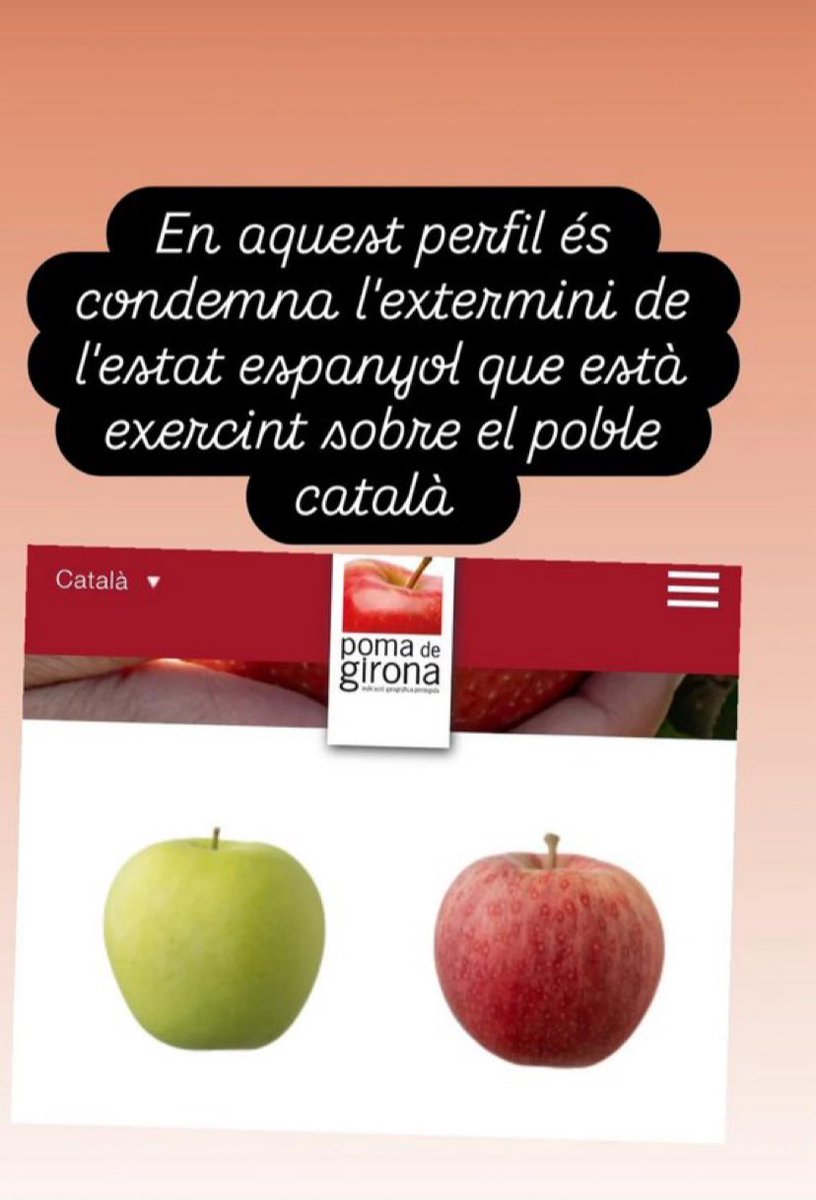 Josep Manel tweet media